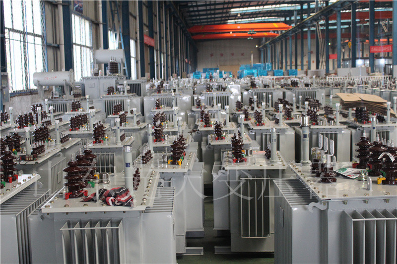 海宁S22-800KVA/10KV